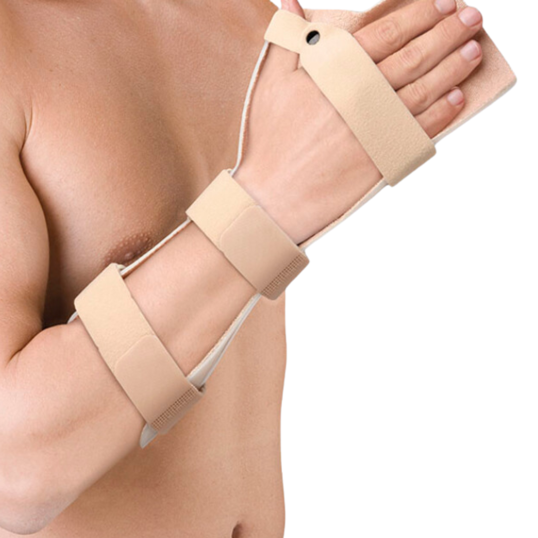 50 - 2024-09-05T120639.306